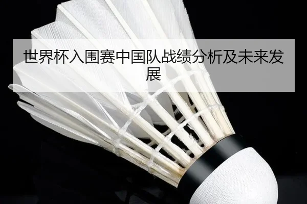世界杯入围赛中国队战绩分析及未来发展